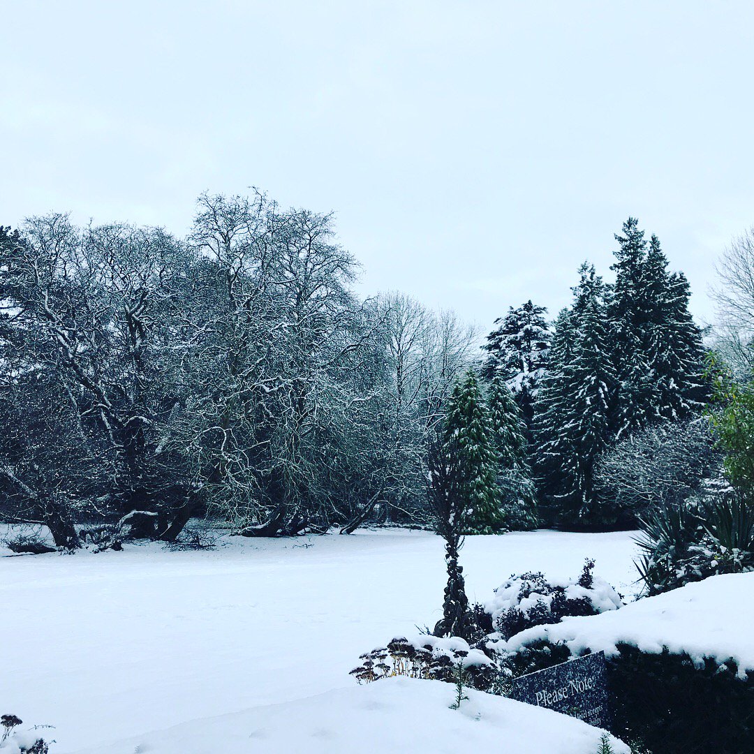 Beautiful crisp winters morning in Warwickshire ❄️⛄️#brownsoverhall #rugby