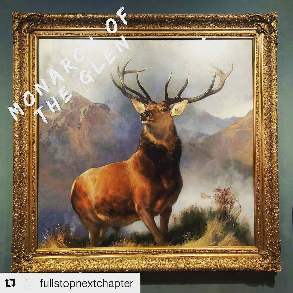 Perth City & Towns tweet media