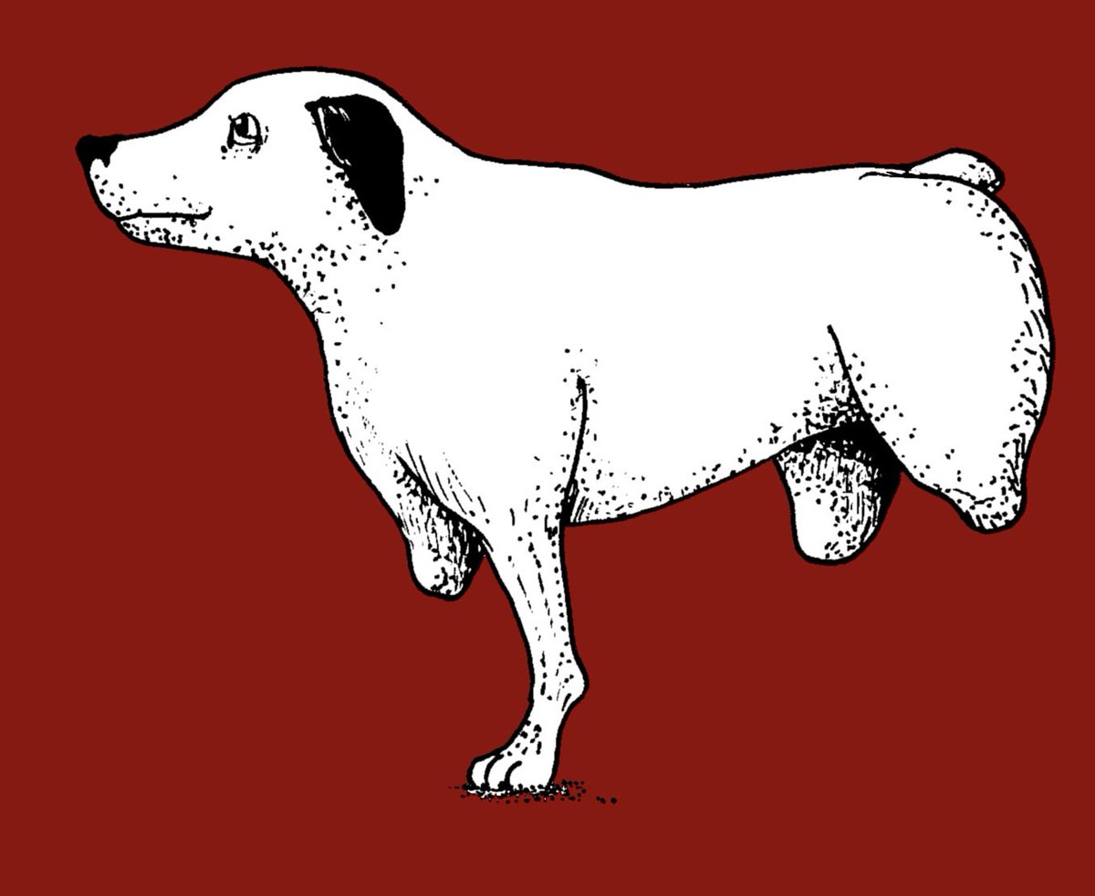DeadRictus's tweet photo. #dog #chien #drawing #draw #art #illustration #sketch #poster #stickers https://t.co/dKSZtdbAWQ