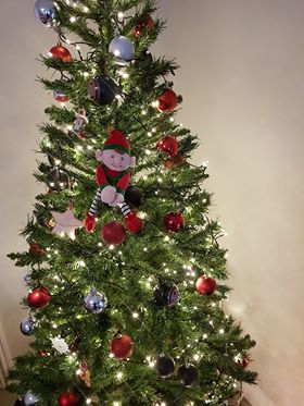 This cheeky elf managed to sneak into my bag last night and I found him on my tree this morning, Buddy wants to know how you celebrate Christmas (if you do) what do you do to help your child cope with the changes, excitment etc.......he wants to see as many pictures please