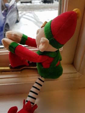 Buddy did not want to play out in the snow this weekend, he was quite happy just to sit and watch the snow from the window. How was your weekend??