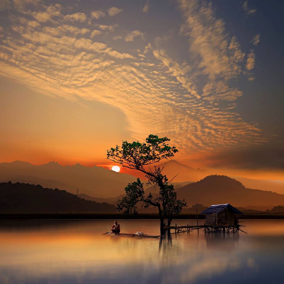 In Silence....... by ID's