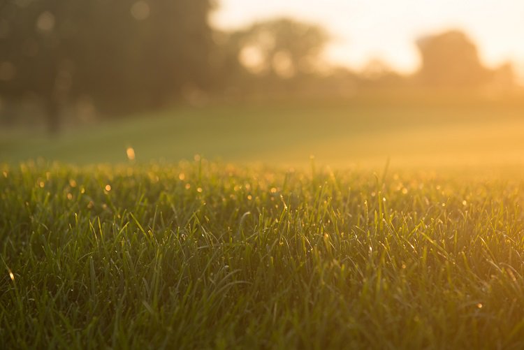 The #RBIC System diagnostics enable proactive correction of wire faults before system operation is impacted, preventing turf damage. #DefendYourtTurf