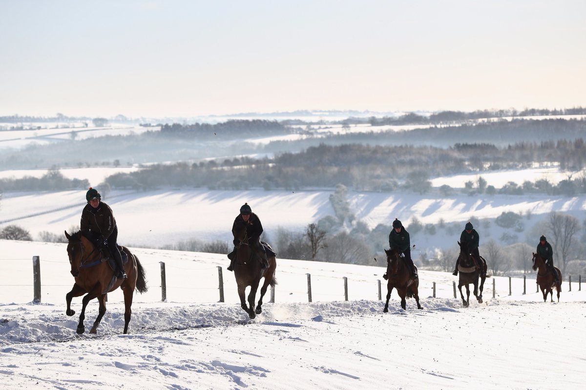Things are looking pretty spectacular in the snow at the <a href="/NigelTwistonDav/">Nigel Twiston-Davies</a> yard ❄️❄️❄️