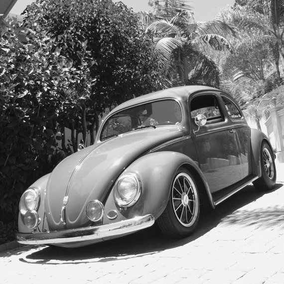 AVECLASVEM1's tweet photo. Auténticos clásicos, en  blanco y negro. @AVECLASVEM1 https://t.co/mUp0KBarWk