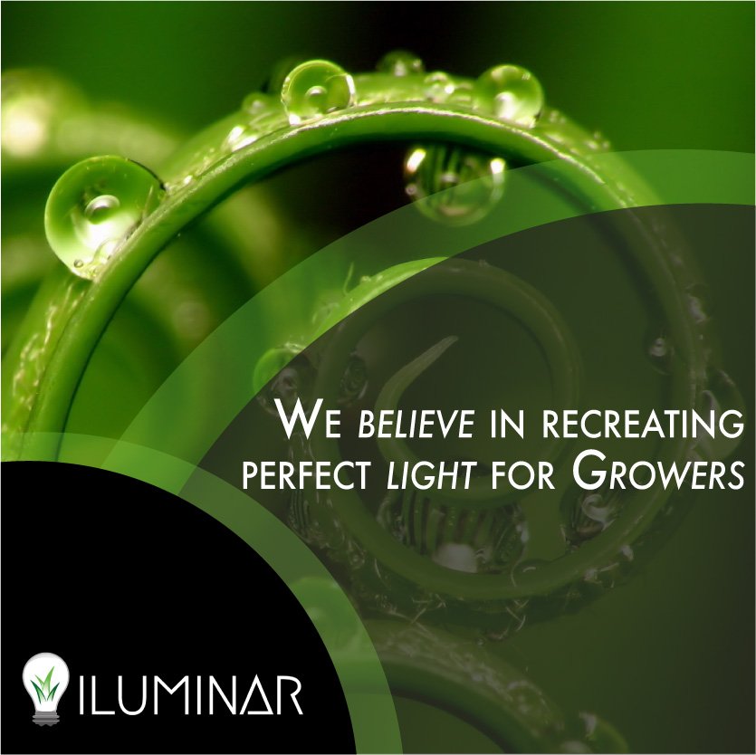 iluminar_ca's tweet photo. #Horticulture is the future now #OnePlanetSummit 
https://t.co/QVAsHhQ3Pd https://t.co/zVybfYmNi3