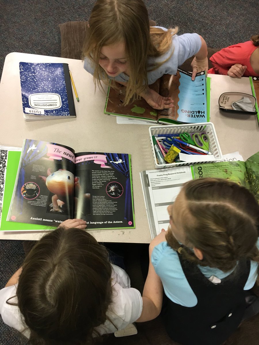 Mrs. Farrell's Class tweet media