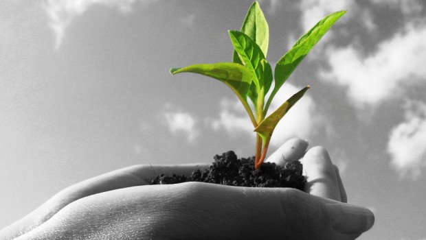 IEGexpo's tweet photo. Una playlist completa con i video da #Ecomondo, la fiera top #circulareconomy per il bacino Mediterraneo. #TweeTube, interviste, momenti #live, il meglio delle immagini dalla fiera #green per eccellenza.
https://t.co/6LFiJHdzif https://t.co/3KbDXwIKgN