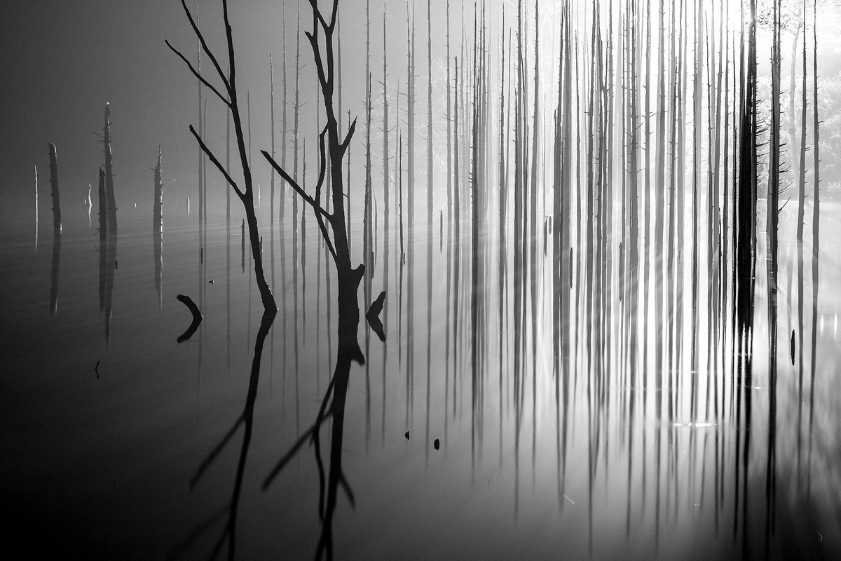 pashadelic's tweet photo. 【SNS「リフレクション」フォトコンテスト #reflectiondelic 結果発表】
#reflection #リフレクション フォトコンテストの結果発表です!
今回は過去最大の応募数となりました。ありがとうございます!
▶ ▶ https://t.co/Bia9DKTGgj ◀ ◀
#PASHADELIC https://t.co/46Q8VwEbWh