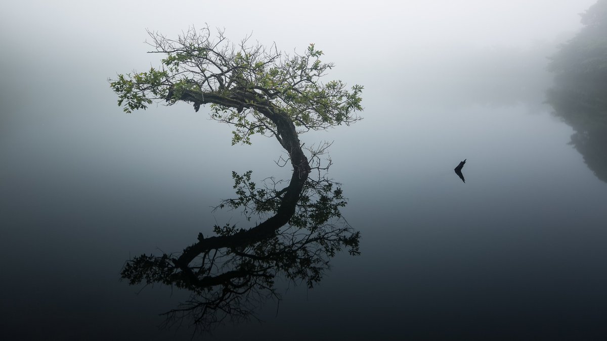 pashadelic's tweet photo. 【SNS「リフレクション」フォトコンテスト #reflectiondelic 結果発表】
#reflection #リフレクション フォトコンテストの結果発表です!
今回は過去最大の応募数となりました。ありがとうございます!
▶ ▶ https://t.co/Bia9DKTGgj ◀ ◀
#PASHADELIC https://t.co/46Q8VwEbWh