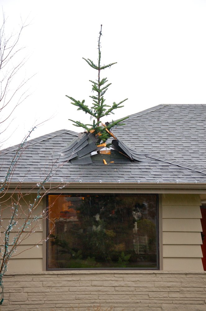 CherylFeeley_1's tweet photo. Ed soon regretted trying out his new #Hogwarts growth spell on the tree.
#FunnyFail #FunnyChristmas #FunnyTree #humor #funny https://t.co/uKsmnSnM5U