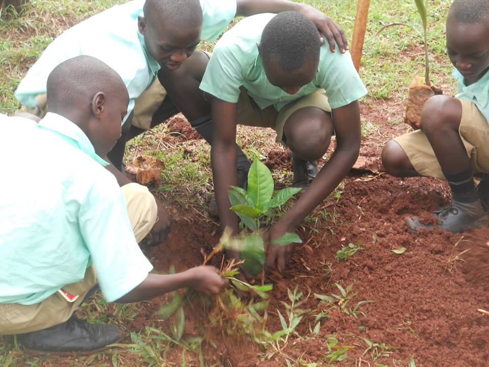 SchoolsTrees1's tweet photo. One Child- One Tree #schoolstreeproject. Lets fight Climate Change. https://t.co/R5FosGMlyB