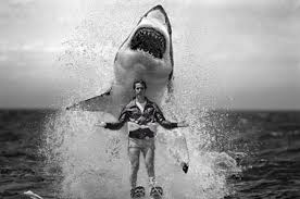 CharlesEDean's tweet photo. This year's #TimePOTY is the #MeToo women.  If trends keep going in the same direction, next year's POTY will be the shark the MeToo movement jumped. https://t.co/JKv6gu3gvx