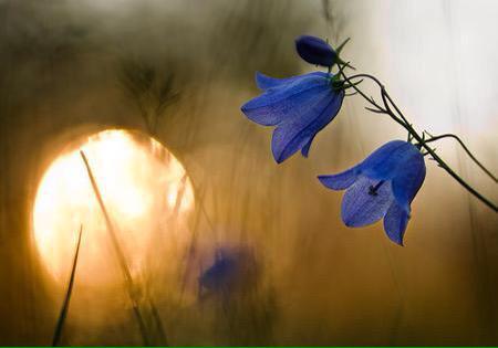 가진것이 없다고
마음까지 가난해지는 말고

되는일이 없다고
자신감 까지 잃어버리지는 말고

힘든일이 많다고
절망하거나 주눅들지는 말고

속상한 일이 많다고
아파하거나 좌절하지는 마세요 

흔들림없이 꿋꿋하게
거침없이 당당하게 살다보면 좋은날도 옵니다