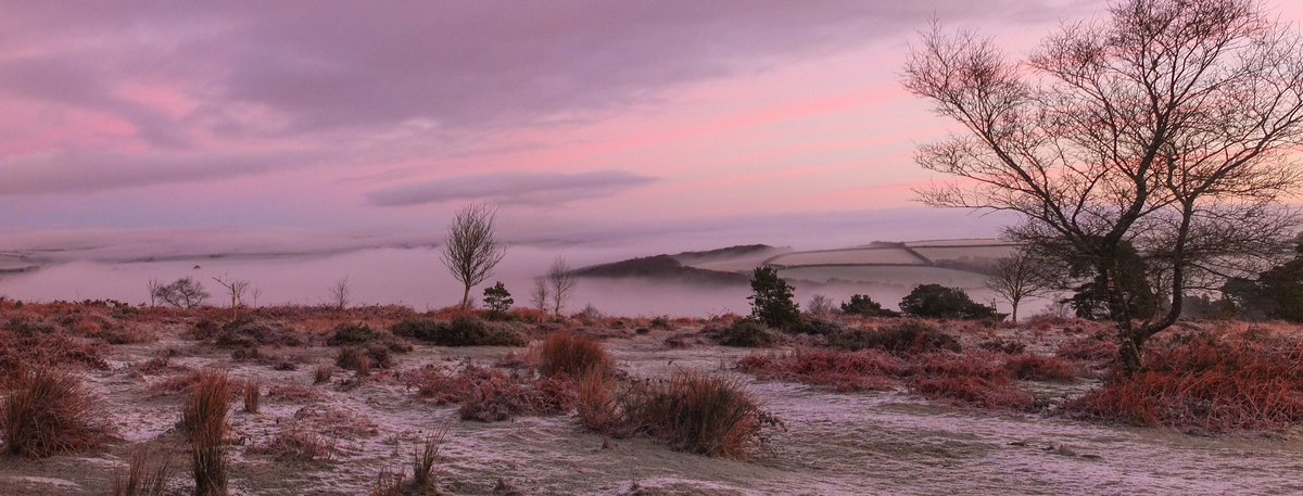 Exmoor_Life's tweet photo. There could not have been a bigger weathercontrast between yesterday and today, early morning: from darkness &amp; horizontal sleet, to bright and crisp! #exmoor4all, @FourAndTwentyPi @exmoorphotos #HaddonHill https://t.co/YLVIRkane4
