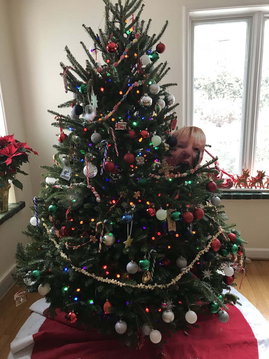 By the way #FanFaces make terrific holiday decorations! Who's that singing on the tree?🎄 #trimthetree fanfaces.org @RWScholars @GPSchools @Edcorps @AudReimer @GPTrombly
