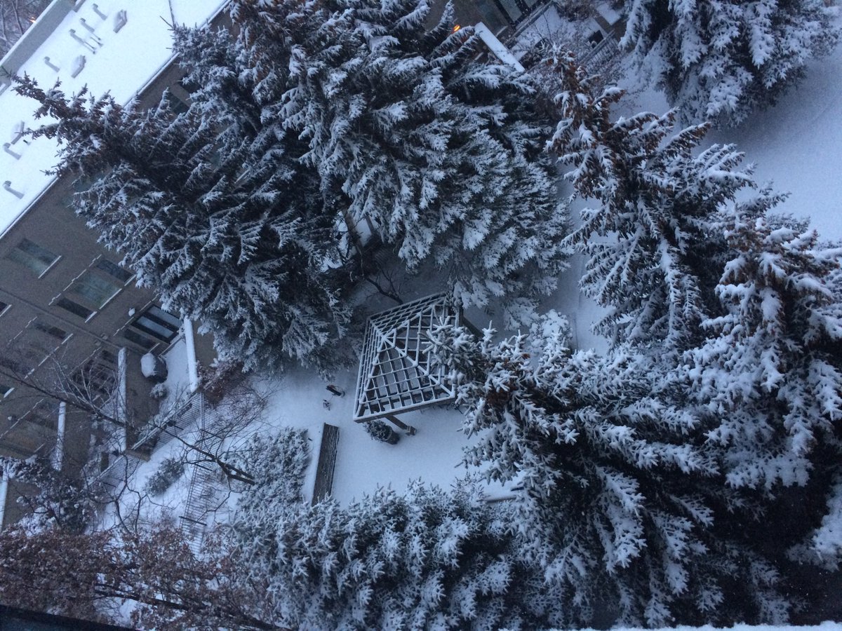 penottawa's tweet photo. Accustomed to  #YOWinter in the snow, but a shrouded-in-white  #yyz  is just as beautiful.  #Toronto https://t.co/RjhJkxPdJH