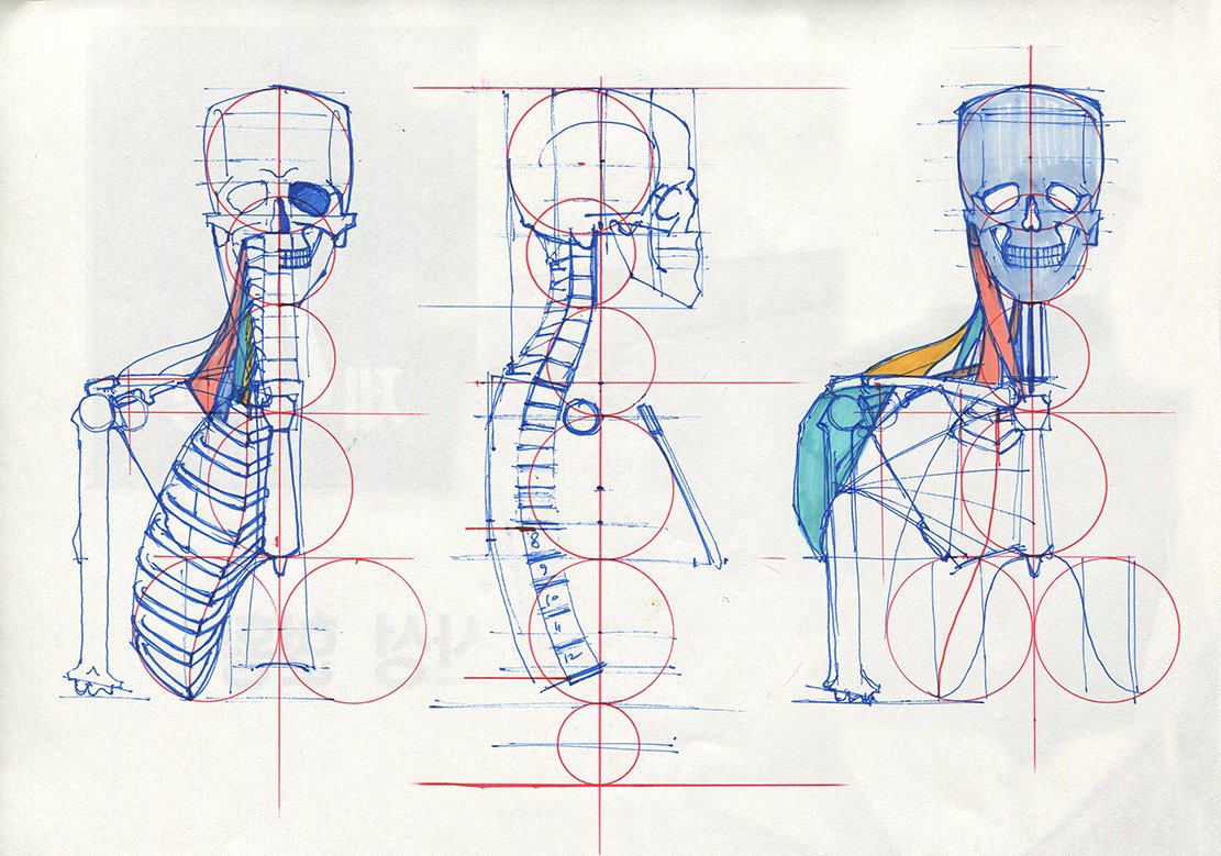 concentrated-study-of-anatomy-on-twitter-muscles-of-the-neck