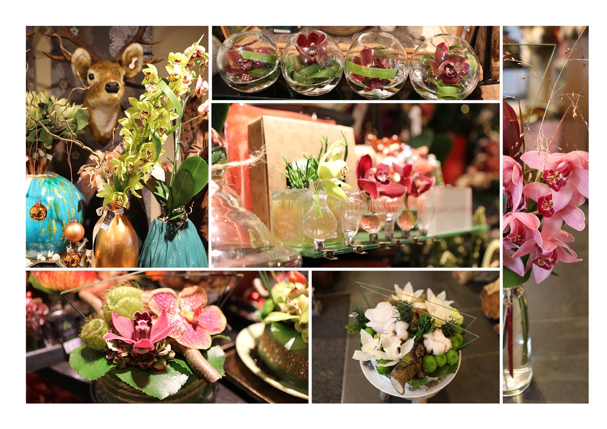 Het is kerstsfeer bij <a href="/FleurettesCD/">Fleurettes C & D</a>. Ben jij ook in kerststemming? #Cymbidium #orchidee #kerst #bloemist