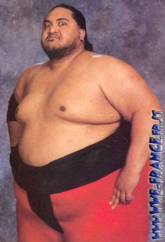 wrestlerbeard's tweet photo. Today we have a #legend #yokozuna not always a #beardedwrestler but was towards the end #greatbigman #beard #champ #R.I.P https://t.co/Xh07QlFqji