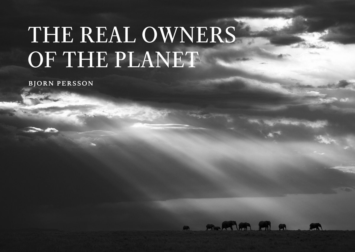 stefan_h's tweet photo. The Real Owners of the Planet
An exclusive and important fund raising photo book that will help save the African wildlife.
https://t.co/NLyhjUbHBW https://t.co/yCCLSMhOXz