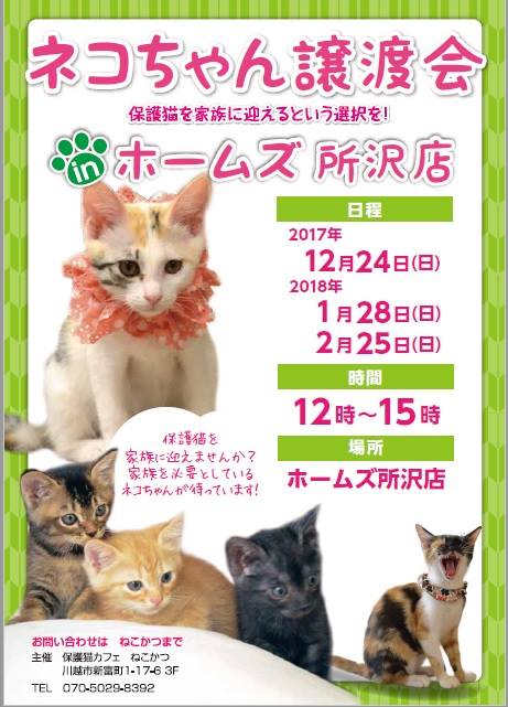 تويتر 保護猫カフェねこかつ 川越 大宮日進 على تويتر ホームセンターの島忠さんでの譲渡会まだまだ続きます １２月１６日 土 島忠草加店 １６日は保護犬も参加します ２３日 土 島忠江東猿江店 ２４日 日 島忠ホームズ所沢店 １月２０日 土 島忠草加店 ２７日 土