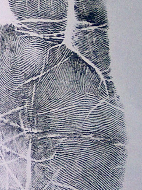 askDrSagar's tweet photo. This is a #handreading print of a person who is a #marketing #professional. Closely see the apex or central point of  the mount of mercury in the close up photos, the apex is exactly in the center. #Mercury is the #planet for marketing #skills. #palmistry #astrology #ayurveda https://t.co/1lT0uDtFo3