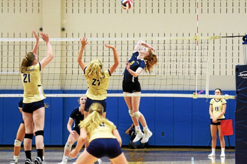 AOPathletics's tweet photo. 10 AOP student-athletes named to Girls' Volleyball All-State team https://t.co/ZKP3YsHHfT @PJP2volleyball @PJPHS @Bishop_Shanahan @ACHSvball17 @OHara_Lions @woodboysvb @PhSportsDigest https://t.co/UbYeAbHgaT