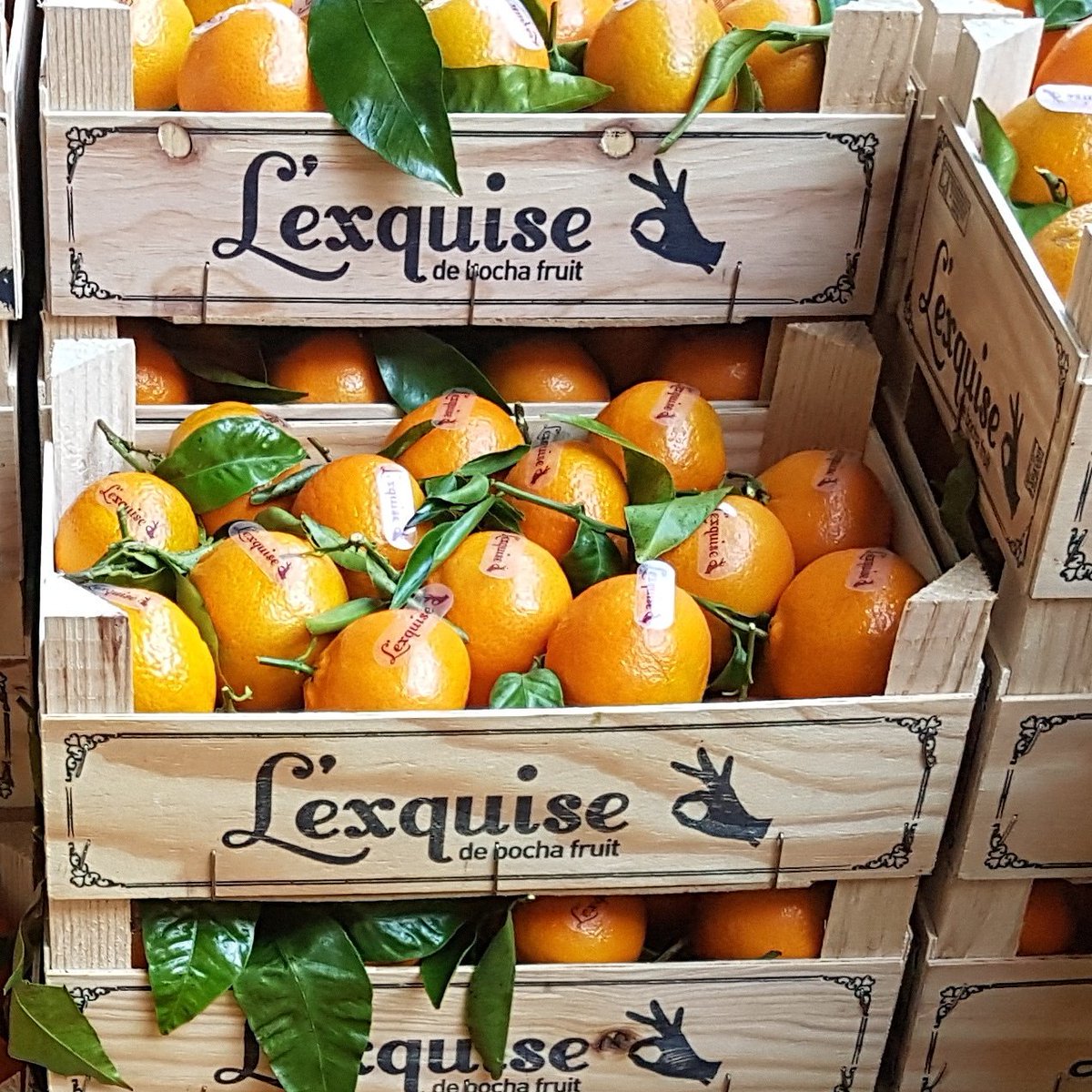 DeGusta_Bristol's tweet photo. Amazing top quality ππ ready for orders @DeGusta_bristol @BochaFruit #wholesale #foodservice #bristolfood #cardifffod #Chritsmaspresent #vegan #citrus #Valencia #lexquise https://t.co/u7SbwFp7JW