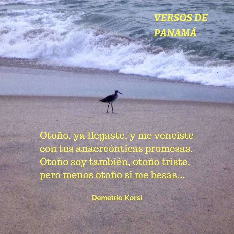 Versos de Panamá (@versospanama) on Twitter photo 