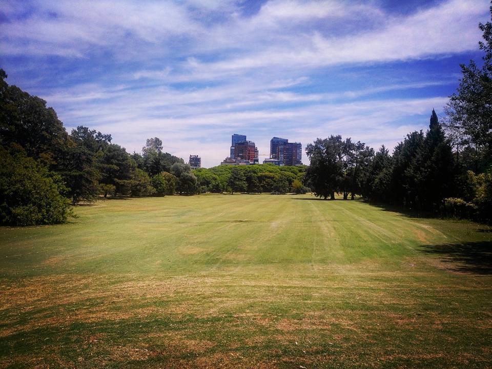 Liga Prof. FootGolf tweet media