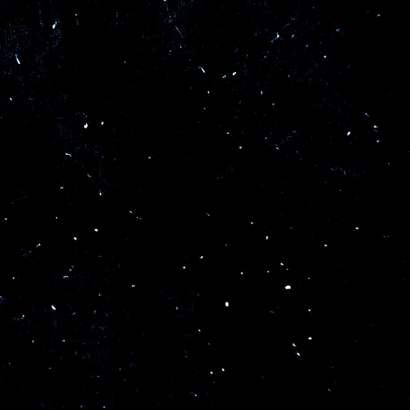 どっちがどっち？カメラで撮った星空とスマホで撮った毛玉のついたタイツが一緒ｗｗｗ