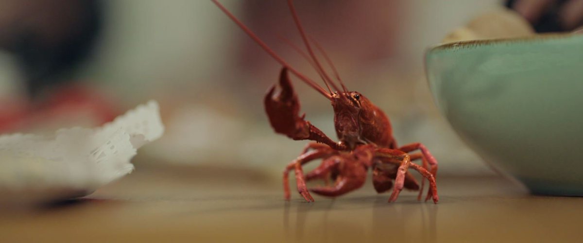 ¿Eres de los que en la cena de Navidad salvas al cangrejo o te lo comes?
👇
#SalvaAlCangrejo 🦀
Abre tu vida a la magia con #MovistarDisney 😊
Disfruta del nuevo canal a partir del 22 de diciembre, en exclusiva en <a href="/movistarplus/">Movistar Plus+</a> 📺
bit.ly/MagiaMovistarD…