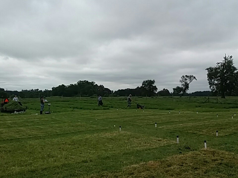 Evaluando ensayos de proyecto Fondecyt de pérdidas de amoníaco por aplicación de distintas fuentes de N y medidas de mitigación