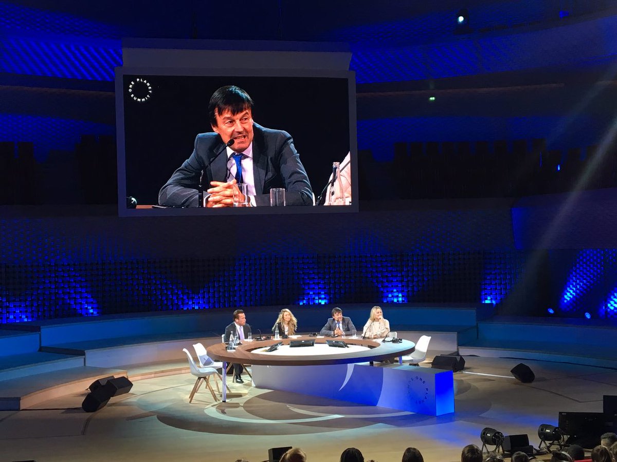 Renaissance tweet media