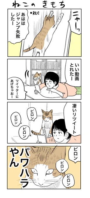 ねこのきもち＃4コマ漫画　#猫　＃落下　＃パワハラ 