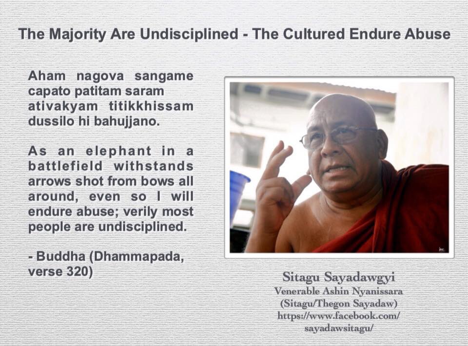 Sitagu Sayadaw (@sitagumm) on Twitter photo 