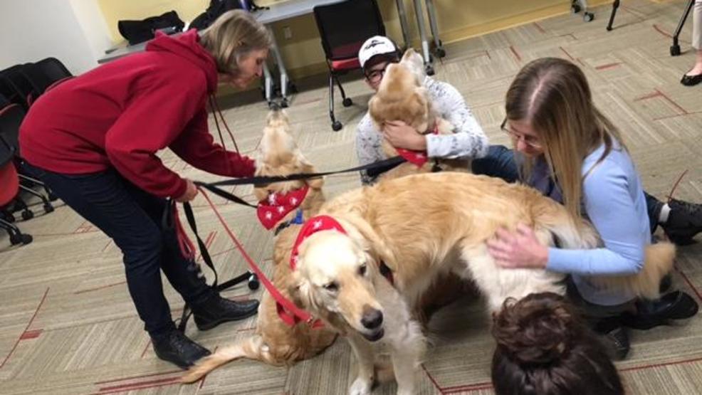 DID YOU KNOW that the <a href="/UofMaryland/">Univ. of Maryland</a>'s Wags for Wellness program offers pet therapy visits on campus? Learn more and sign up at: health.umd.edu/wagsforwellness