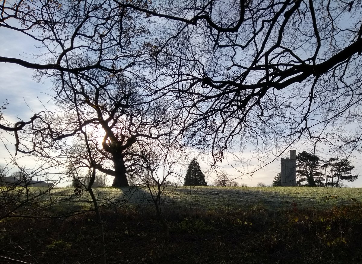 briszooproject's tweet photo. A wintry Tower Meadow taken from Blackhorse Wood this morning! #frosty ❄☃ https://t.co/uDZYu6YRX8