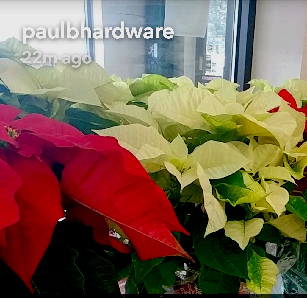 PaulBHardware tweet media