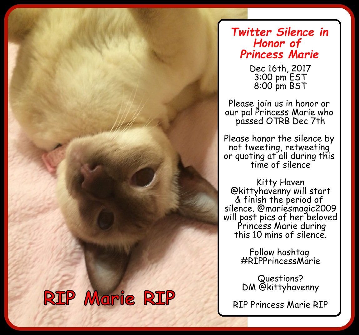 phycoinsc's tweet photo. Please join us on December 16th to honor Princess Marie @mariesmagic2009 💔🌈😇 https://t.co/5iRZ2fmxvN