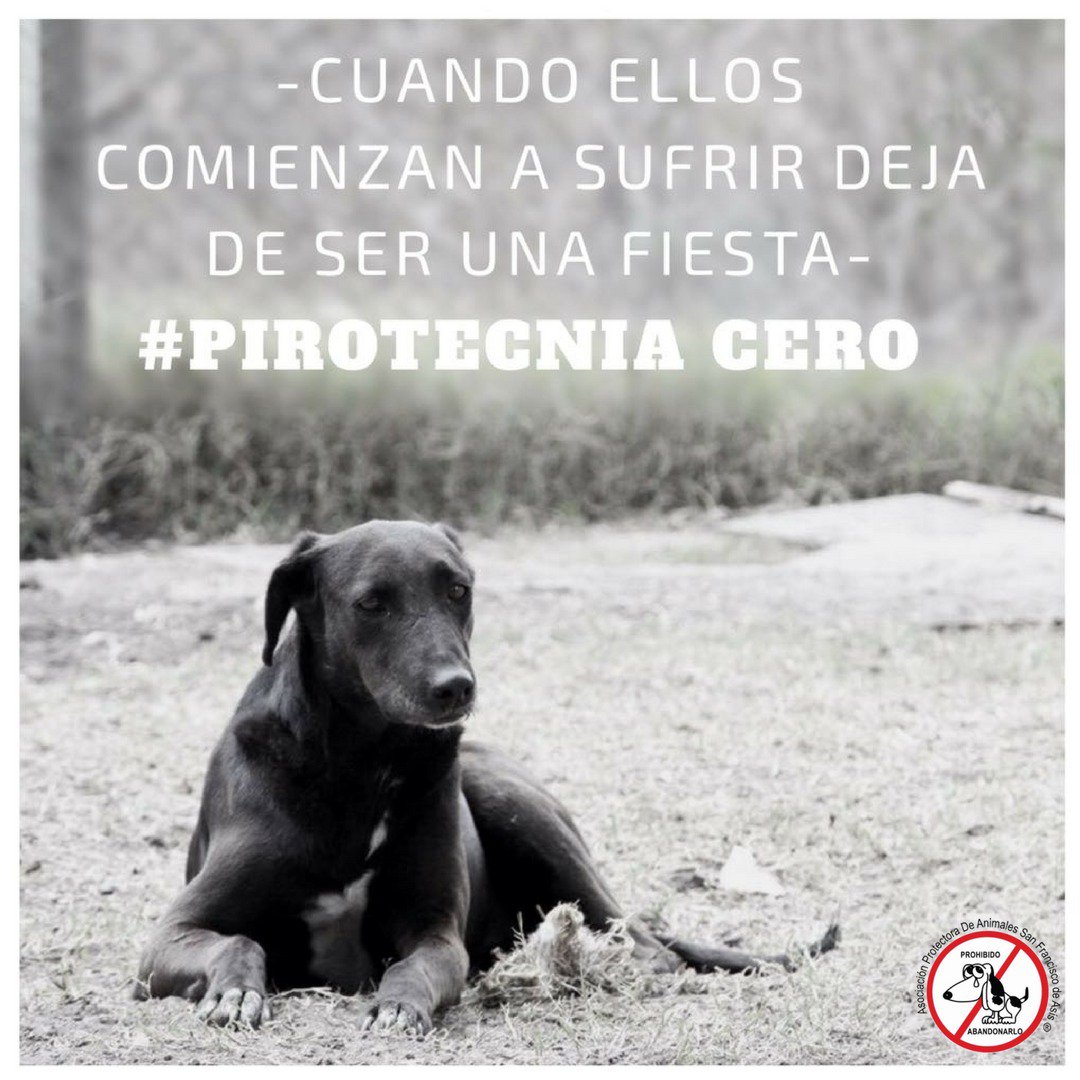 refuasis's tweet image. Festeja sin pirotecnia