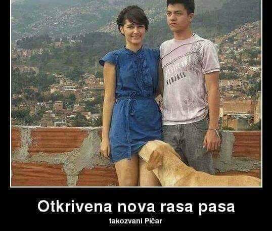 Blagica Pavlovska (@pavlovska1961) on Twitter photo 