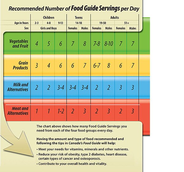 Food Chart For Different Age Groups