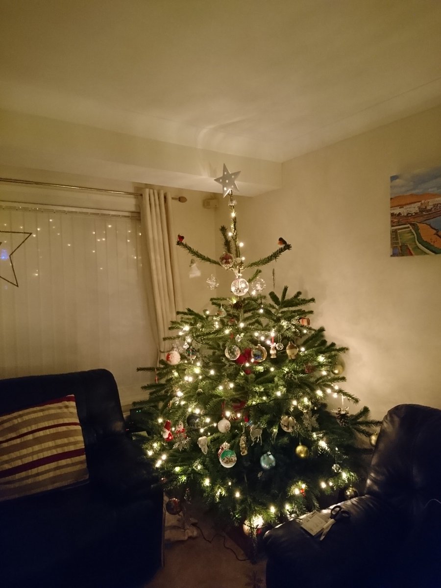 Think our Christmas tree is a tad on the large side! 😂 🎄📦 #ChristmasTree #Christmas