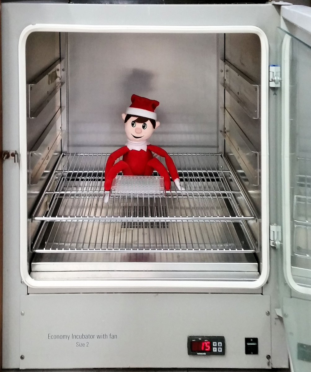 Diagnosteq's tweet photo. With snow and ice piled up outside, the @LivUni #Diagnosteq lab can get pretty chilly. To keep testing conditions consistent we use an incubator - Frankelf, the @Diagnosteq elf, takes full advantage! https://t.co/8IiFffz1nN
