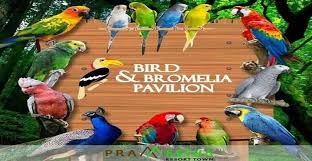 bo_ryn's tweet photo. حديقة الطيور 🐦🕊️🦇 Bird &amp; Bromelia Pavilion في #باندونق 
مرفق جديد وجميل يكفيه ساعه ونصف والتذكرة 35 الف الايام العاديه 50 الف روبيه ايام العطل 
الموقع 
https://t.co/8DdrDPbE6u https://t.co/G6QQkO1eGw