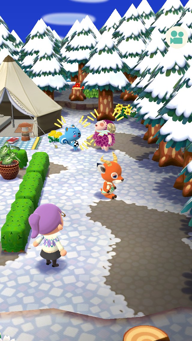 RudeMornings's tweet photo. Beau.. wtf . Bare ass sitting in snow
98374025350
#animalcrossingpocketcamp #animalcrossing #acpc #AnimalCrossingMobile #PocketCamp #acBeau #acStella #acFilbert https://t.co/XGeR9XDBin