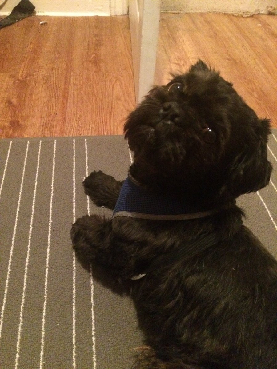 Sam_Meaghan's tweet image. Yes