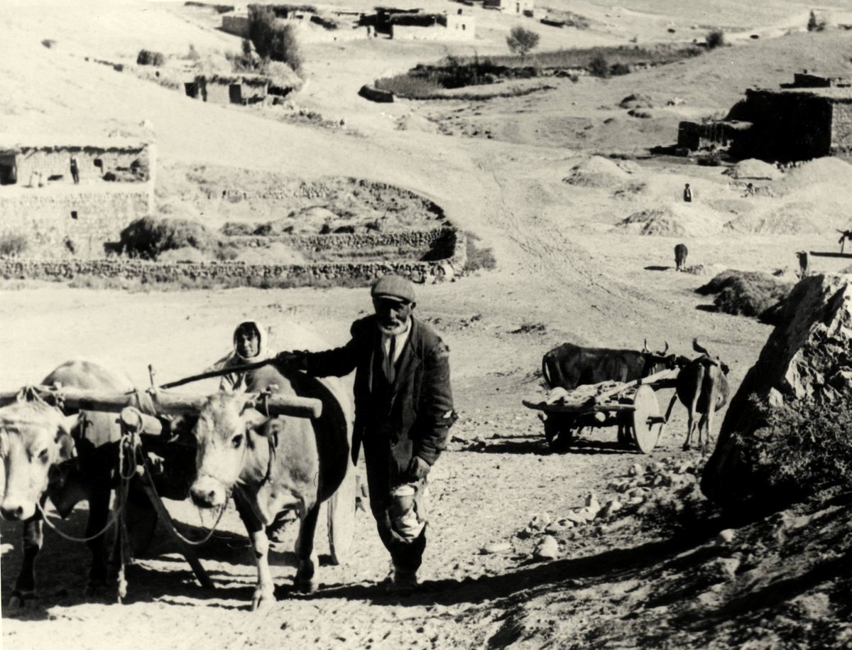 bogazkoy yoresinde kagnilar 1950 ler resim fotograf yunus